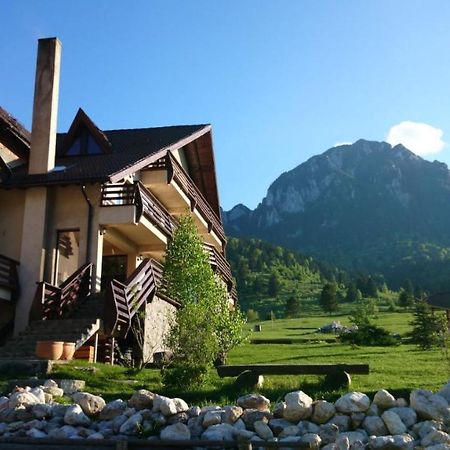 Taverna Pietrei Craiului Zărneşti Екстериор снимка