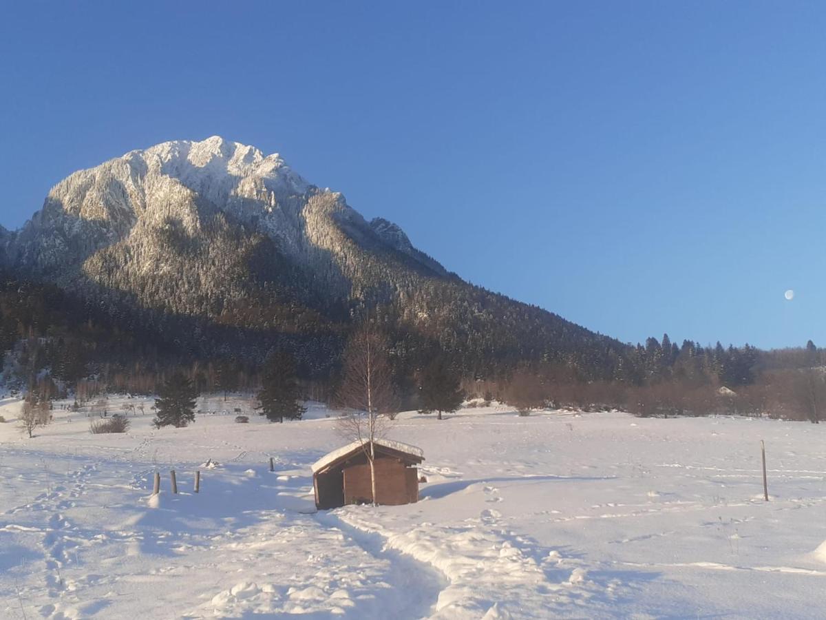 Taverna Pietrei Craiului Zărneşti Екстериор снимка